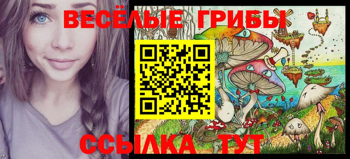 Туймазы  Псилоцибиновые грибы Cubensis  Вход с VPN 