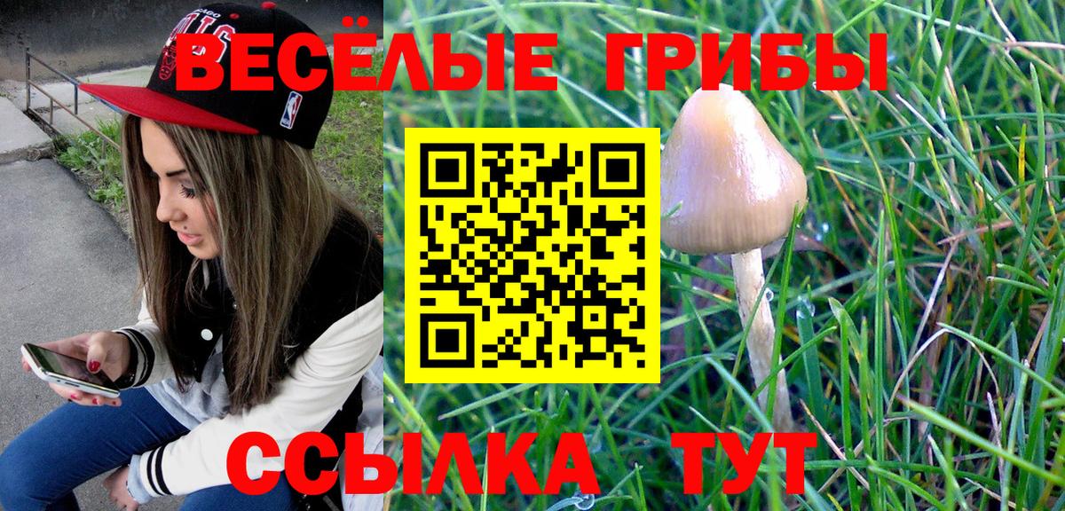 Псилоцибиновые грибы мицелий Туймазы